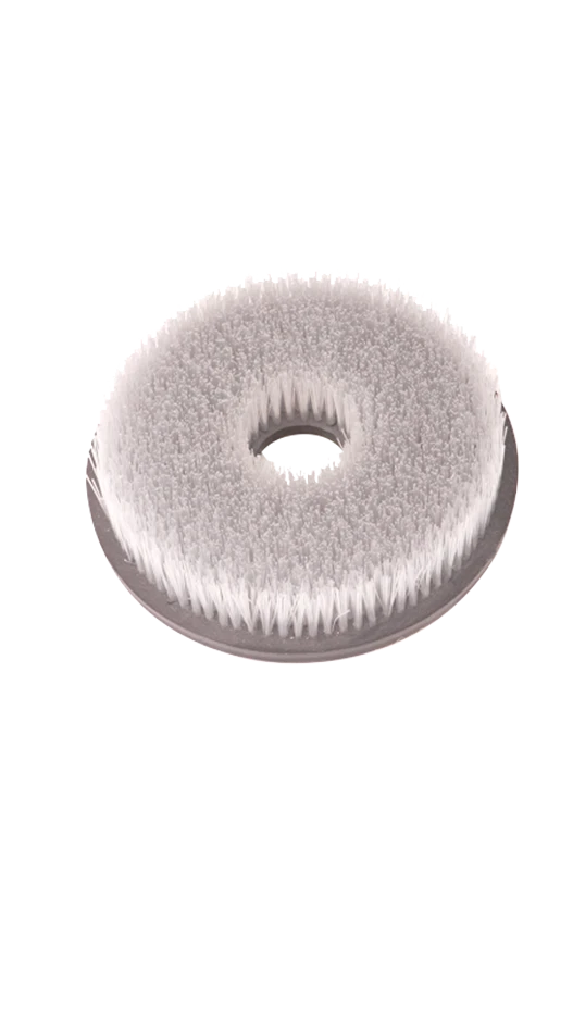 Abrasive Nylon Brush